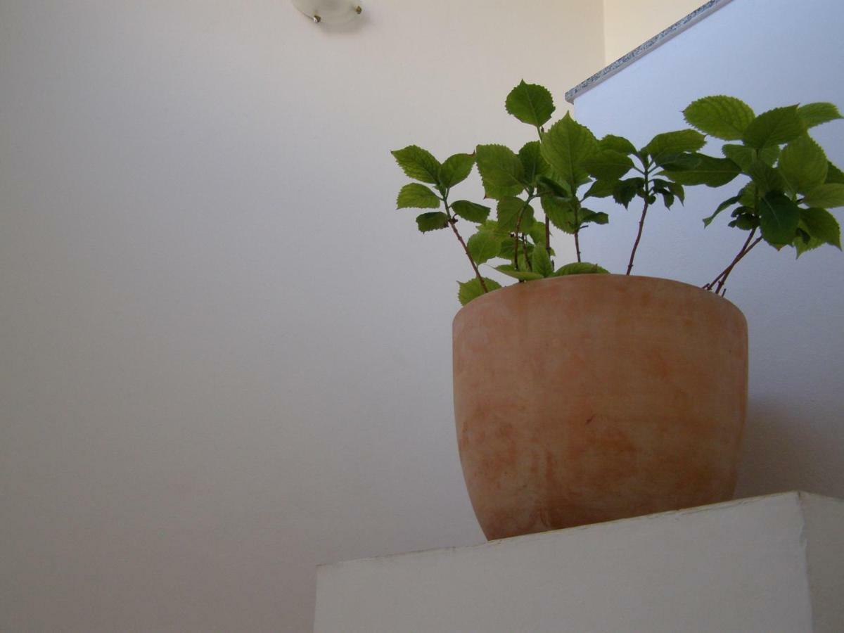 Charming Apartments In Pula Luaran gambar